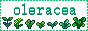 Oleracea